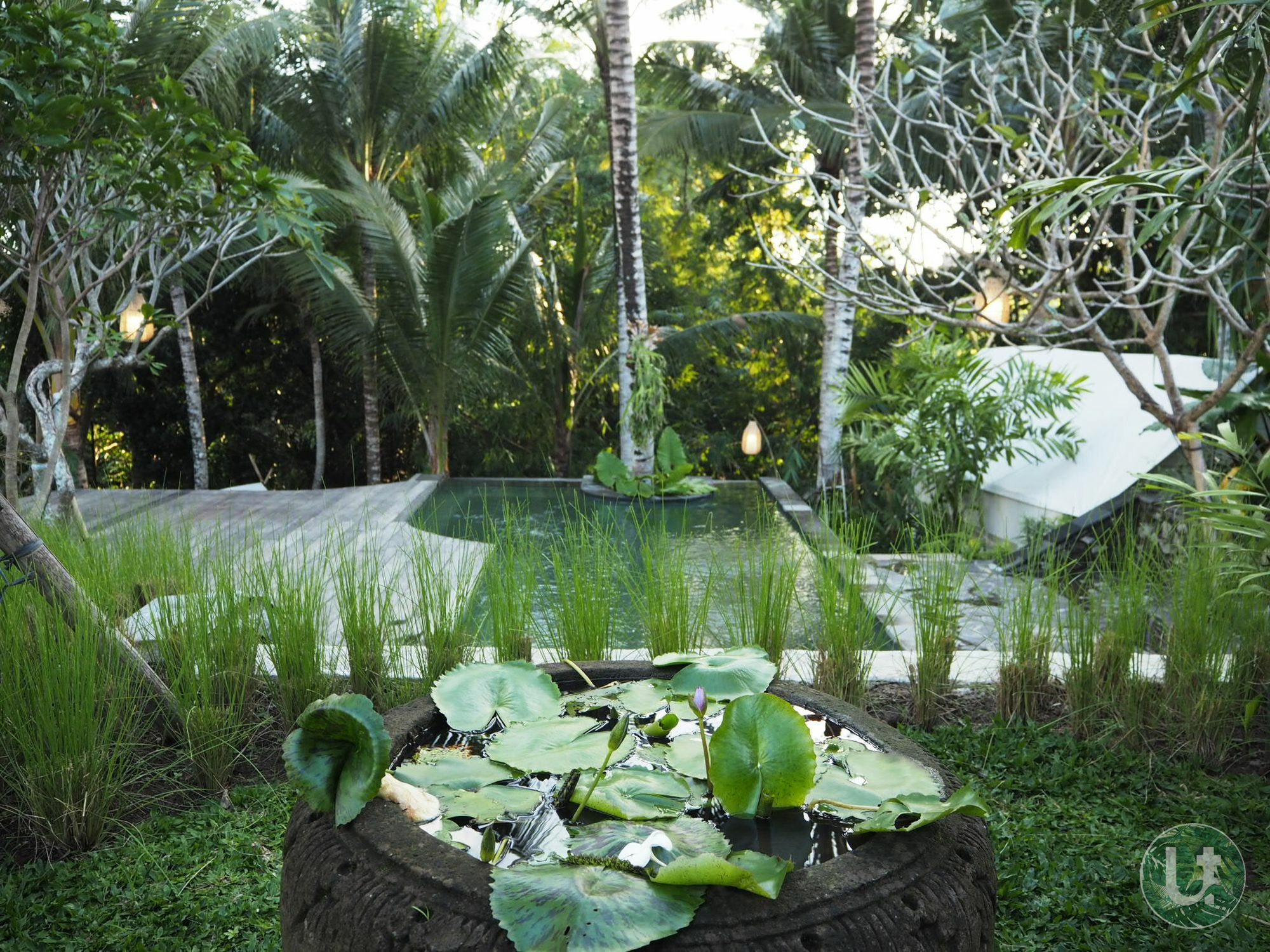 Ubud Tropical Zewnętrze zdjęcie