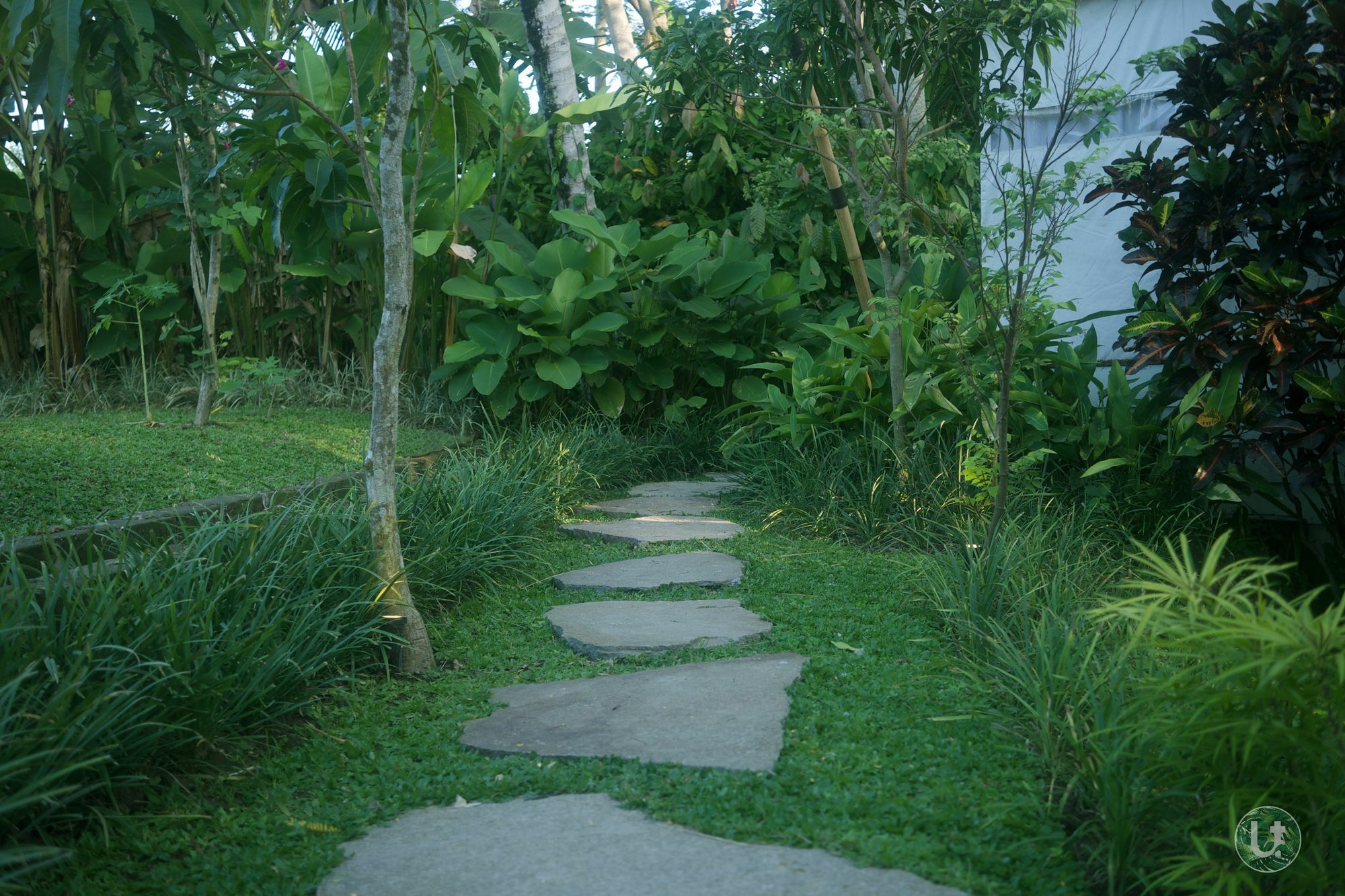 Ubud Tropical Zewnętrze zdjęcie